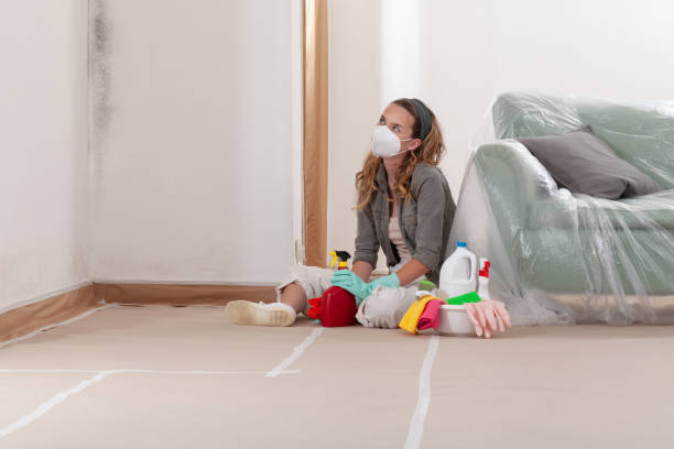 Reliable Mold Testing contractor in Church Hill, MD by WQB Mold Removal